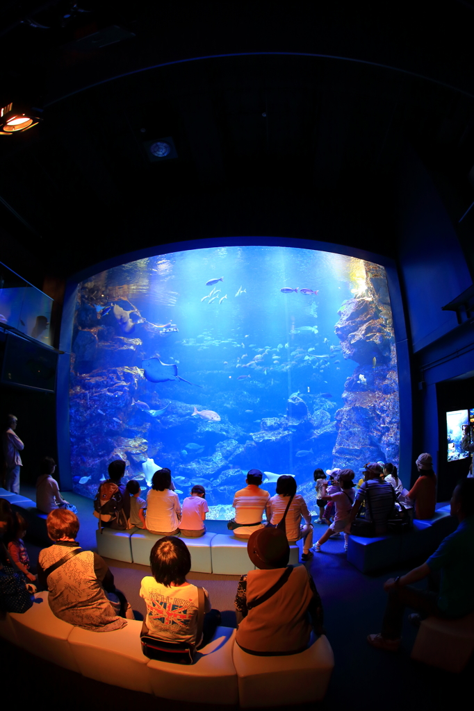 水族館シアター