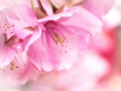 IMGP0926 修正a