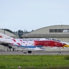 F-4 302飛行隊ファイナルイヤー記念塗装機２