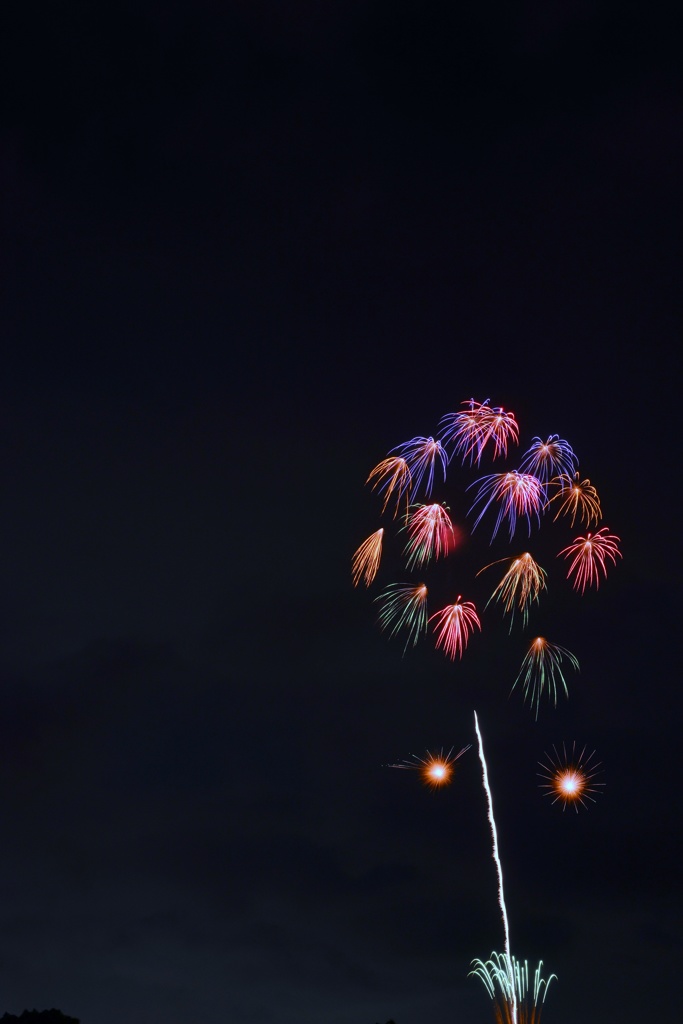 紫陽花の夜