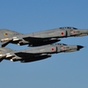 301SQ ケロヨン