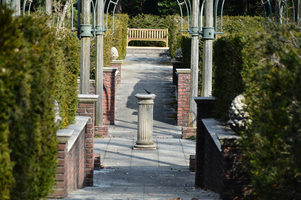 a-1 七ツ洞公園