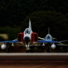F-4 302飛行隊ファイナルイヤー記念塗装機 1