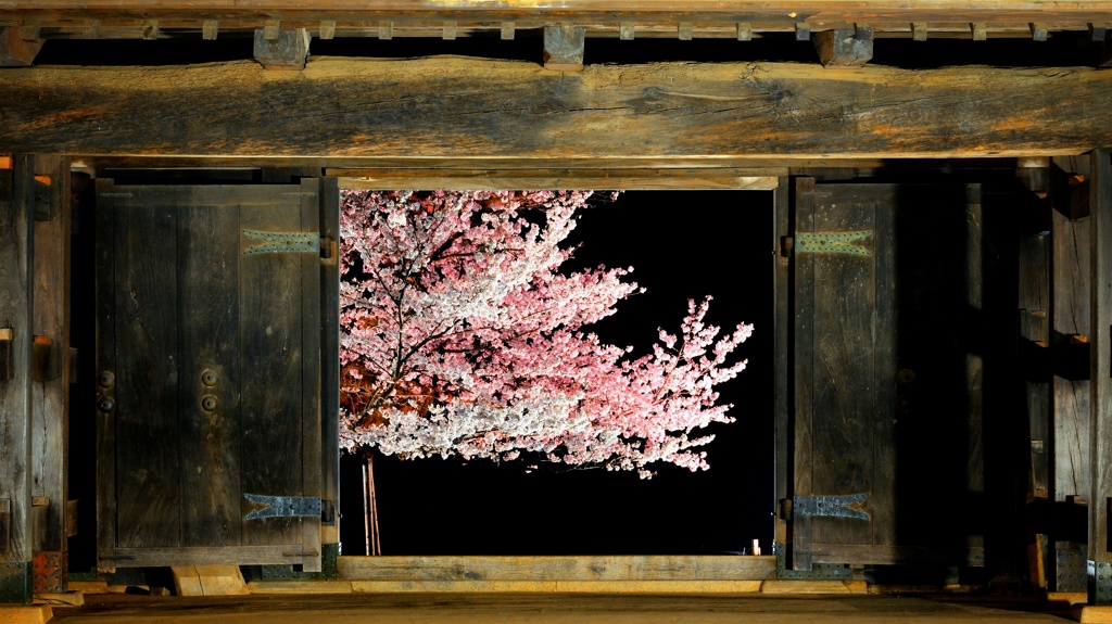 窓の夜桜 (亀城櫓門) ２