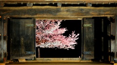 窓の夜桜 (亀城櫓門) ２