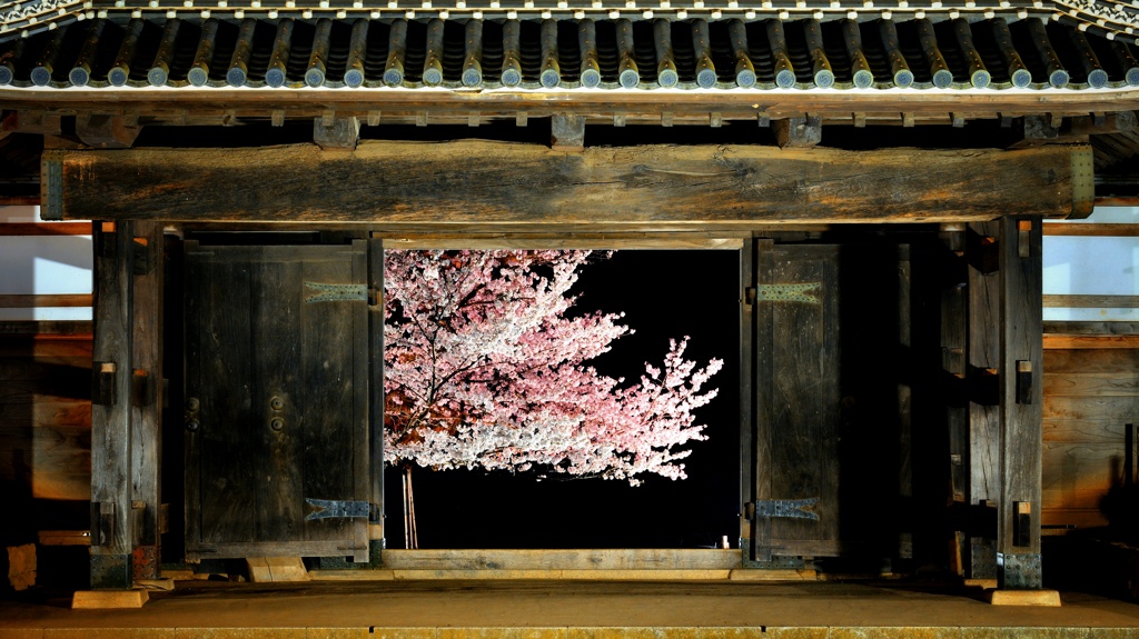 窓の夜桜 (亀城櫓門) １