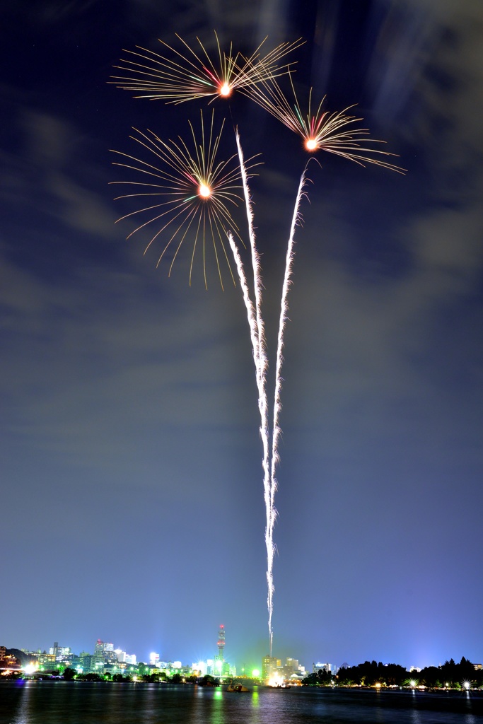 たんぽぽ、夜空に咲く