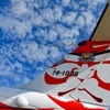 第２輸送航空隊創設６０周年記念塗装機　４