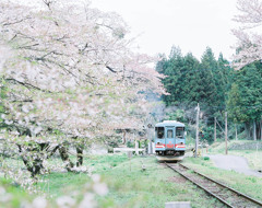 樽見鉄道