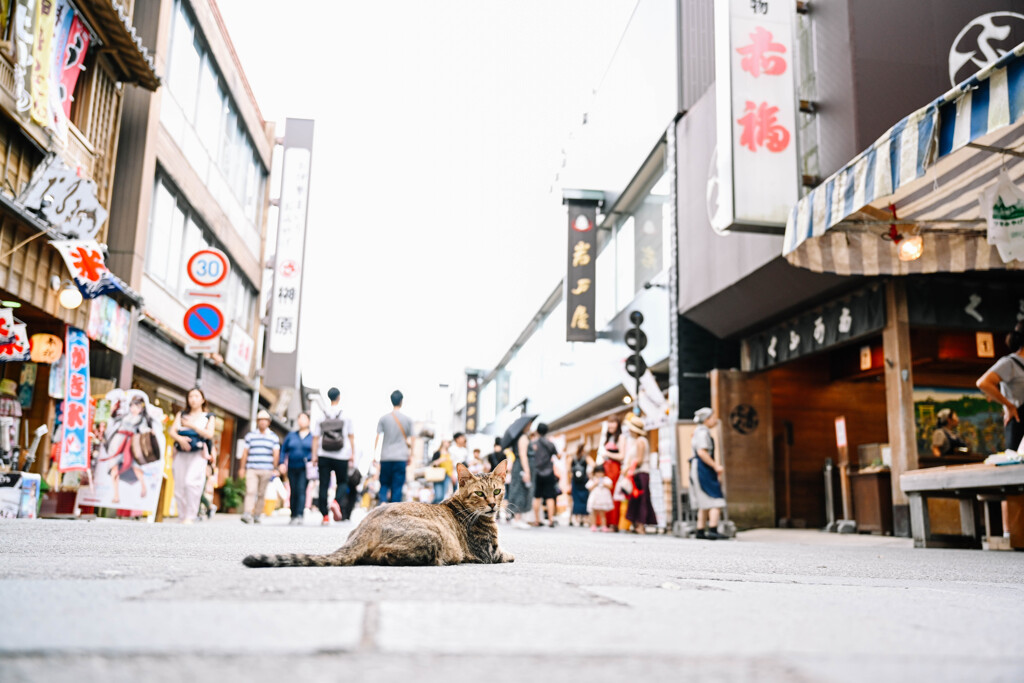 伊勢神宮