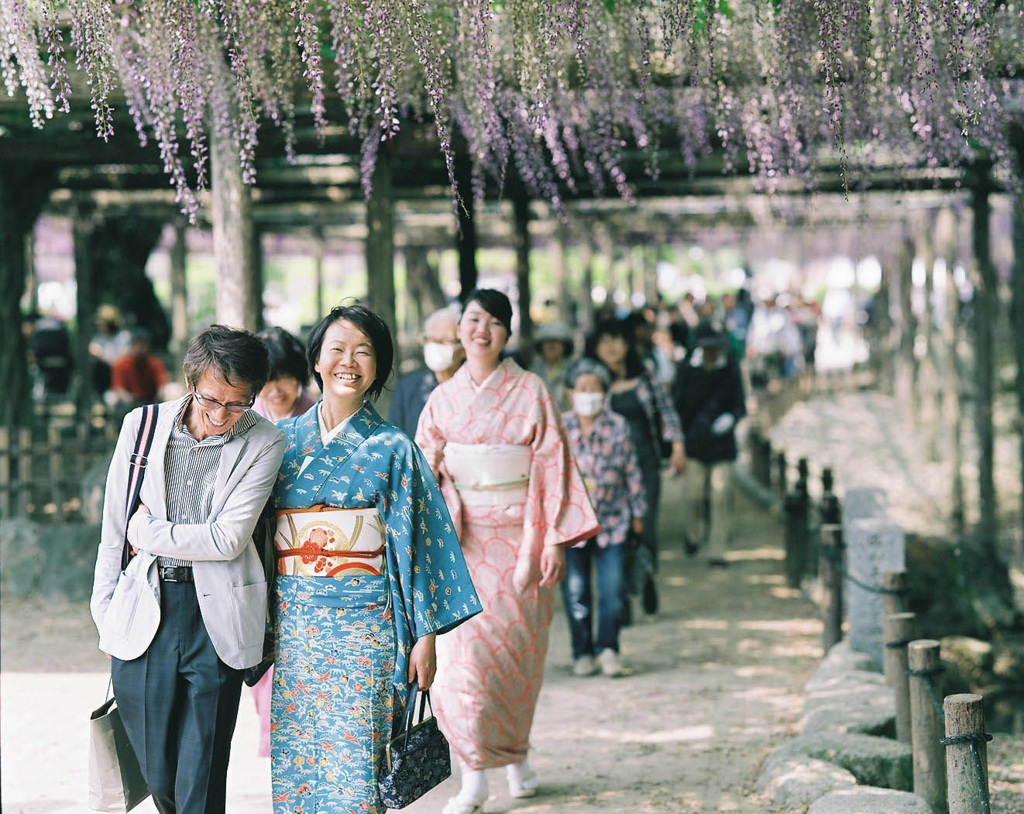 藤祭り