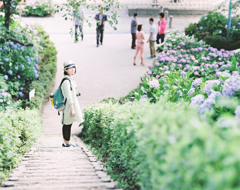 あじさい公園