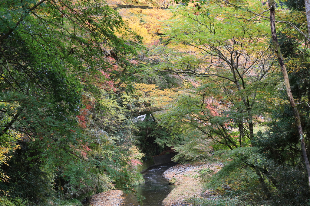 近くの山