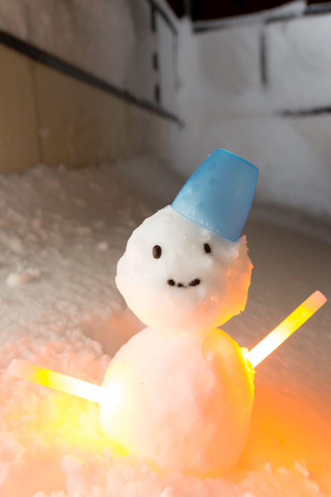 雪ニモ負ケズ