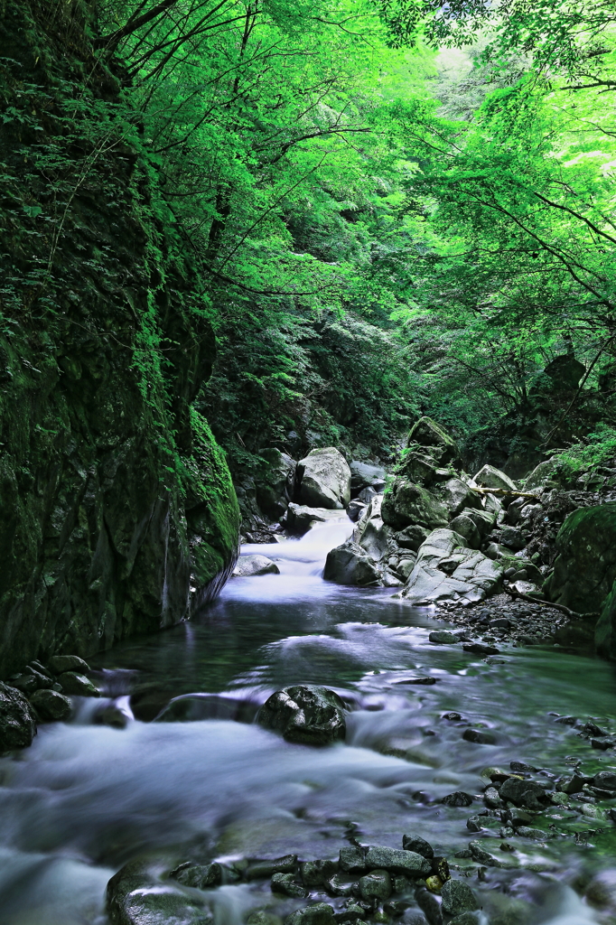 西沢渓谷 Ⅰ