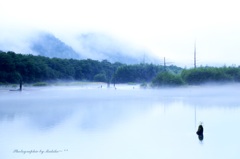 朝霧に包まれる大正池