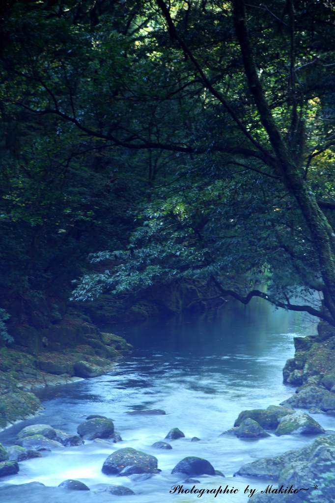 川の流れを見つめて