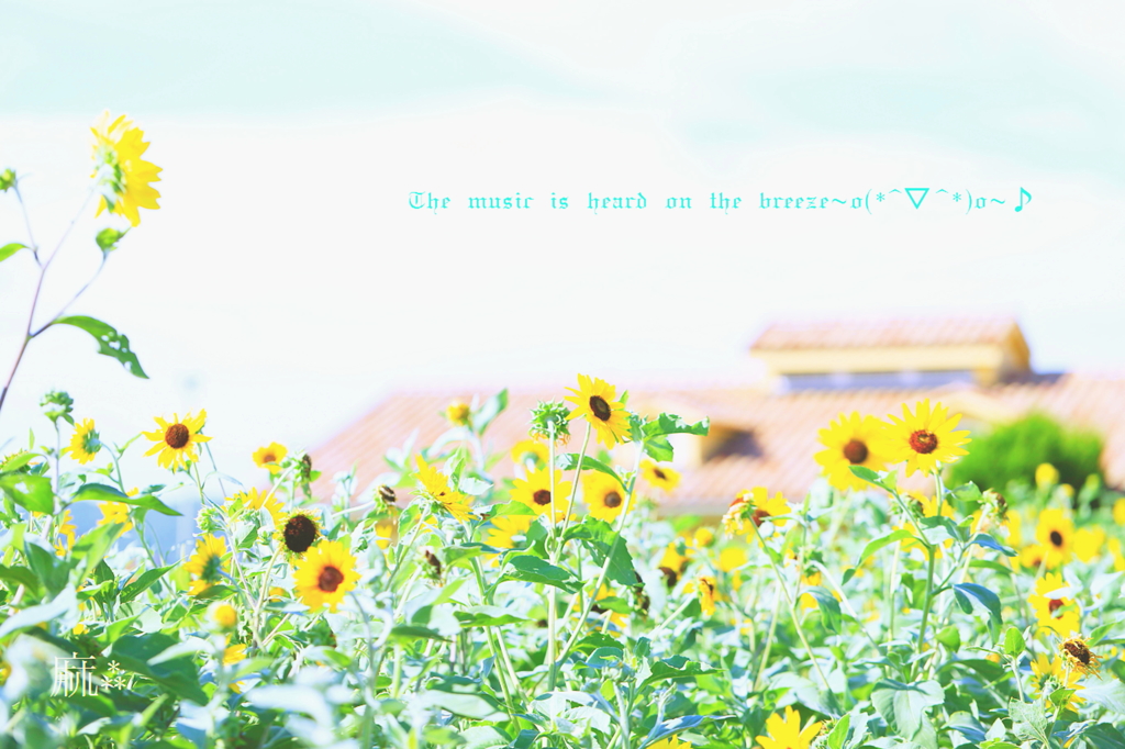 -夏 色-