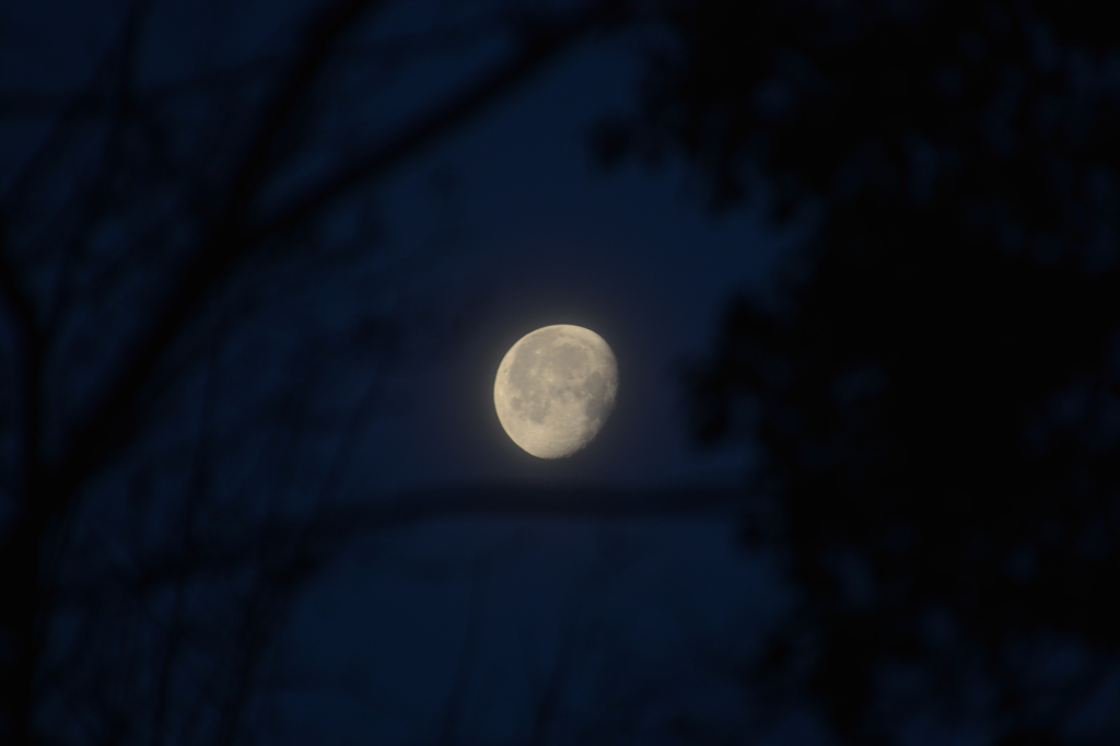 月夜