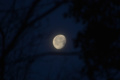 月夜