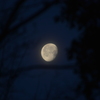 月夜