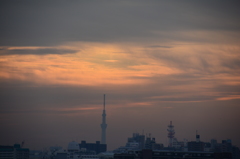 兆