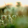 ｕｎｔｉｔｌｅｄ