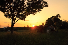 牧場の夕暮れ