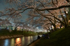 新境川の夜桜　