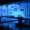 アートアクアリウム　⑥