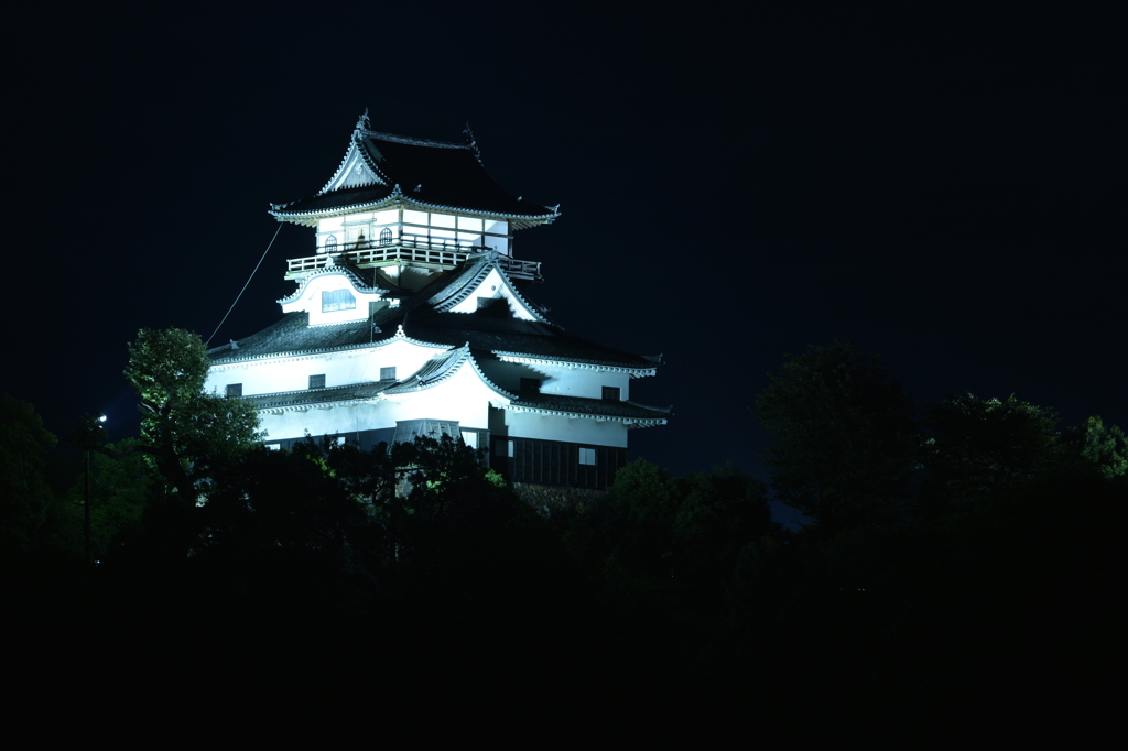 国宝犬山城　③　続夜景