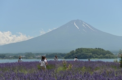 富士山　②　思い思いに