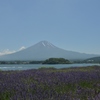 富士山　①　ラベンダー