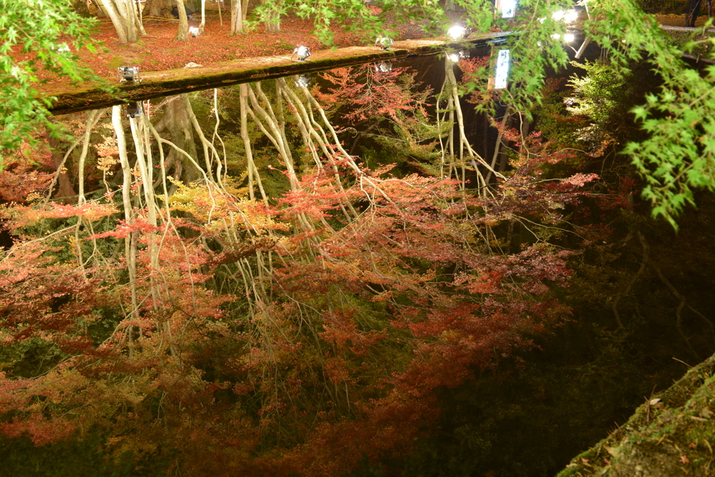 深淵の紅葉　②