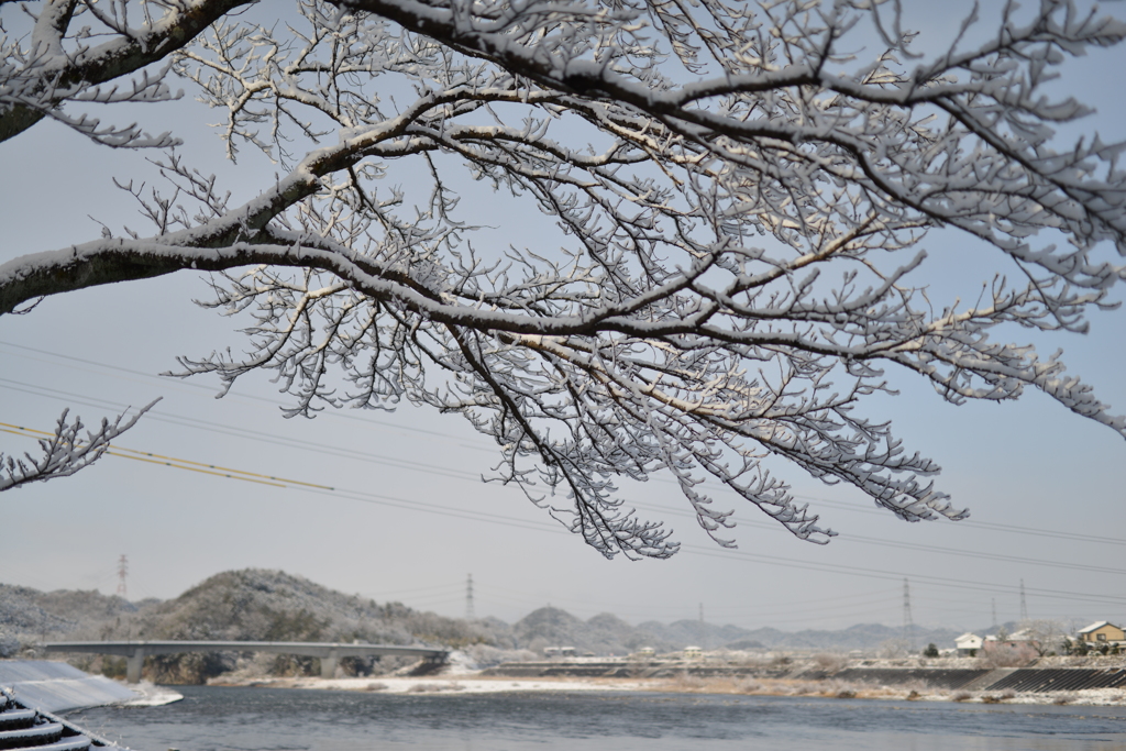 雪景色　川を望む
