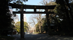 明治神宮の鳥居