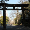 明治神宮の鳥居