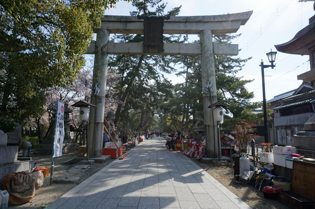 祭の朝（2014年長浜曳山祭）