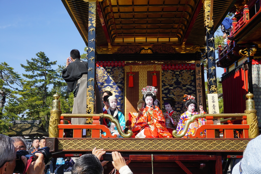 祭の朝（2014年長浜曳山祭）