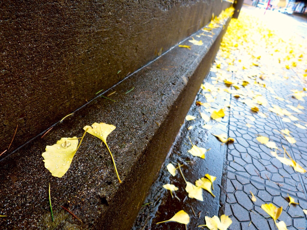 雨の日