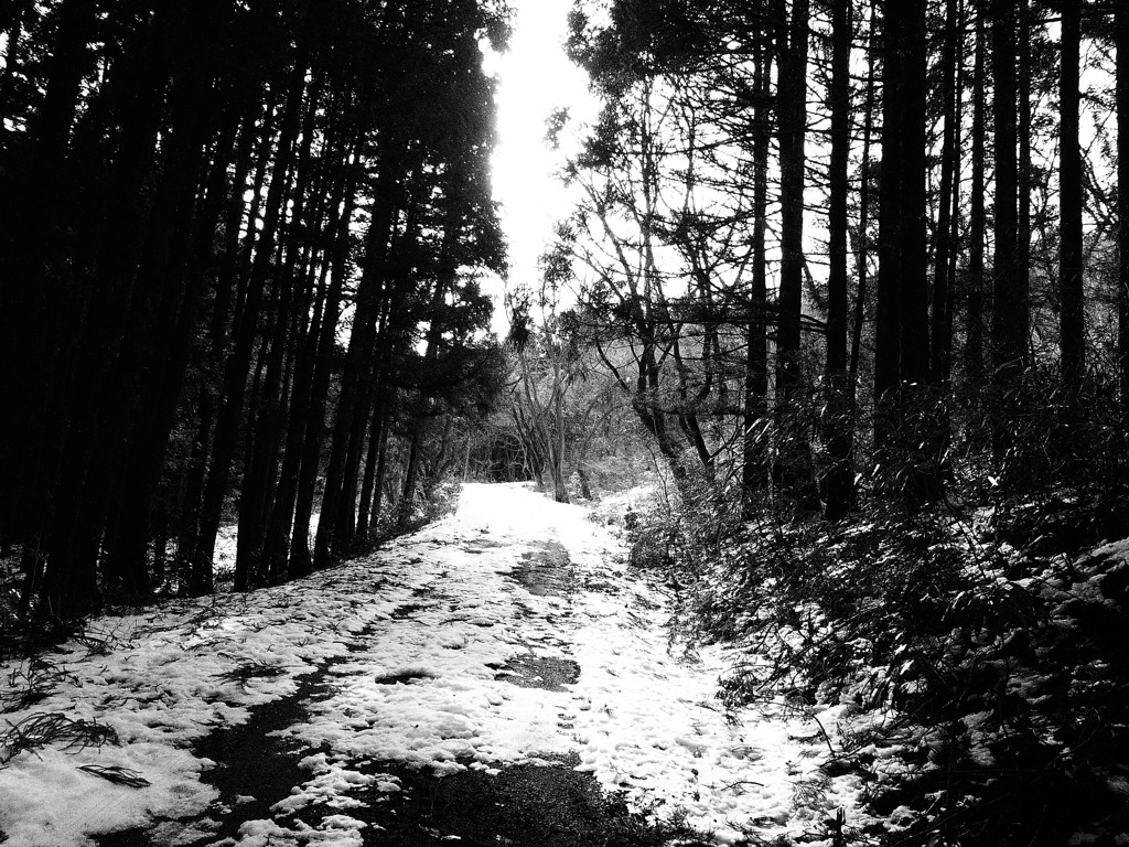 141206青麻山_7