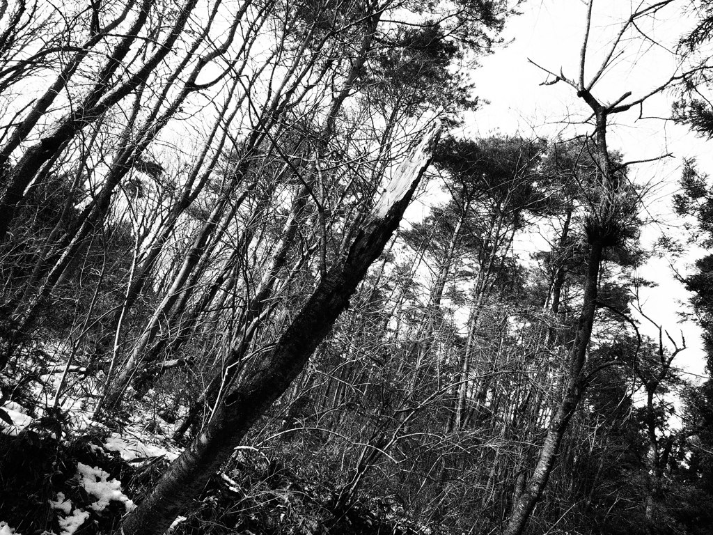 141206青麻山_1