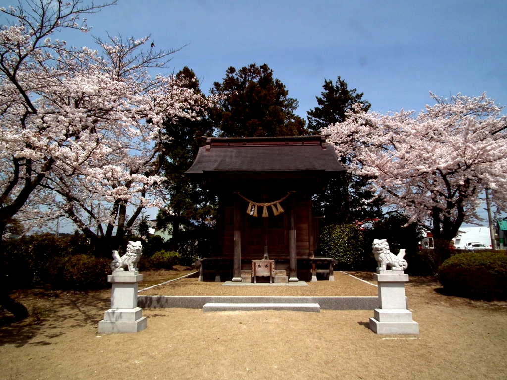 DSCF0138