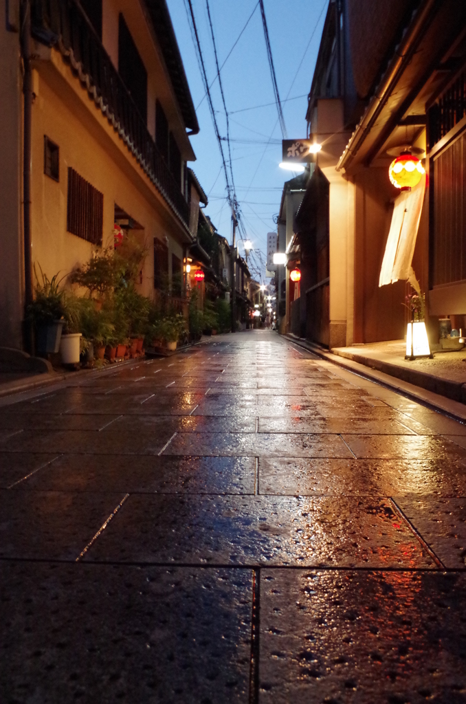 猫目線で歩く京都