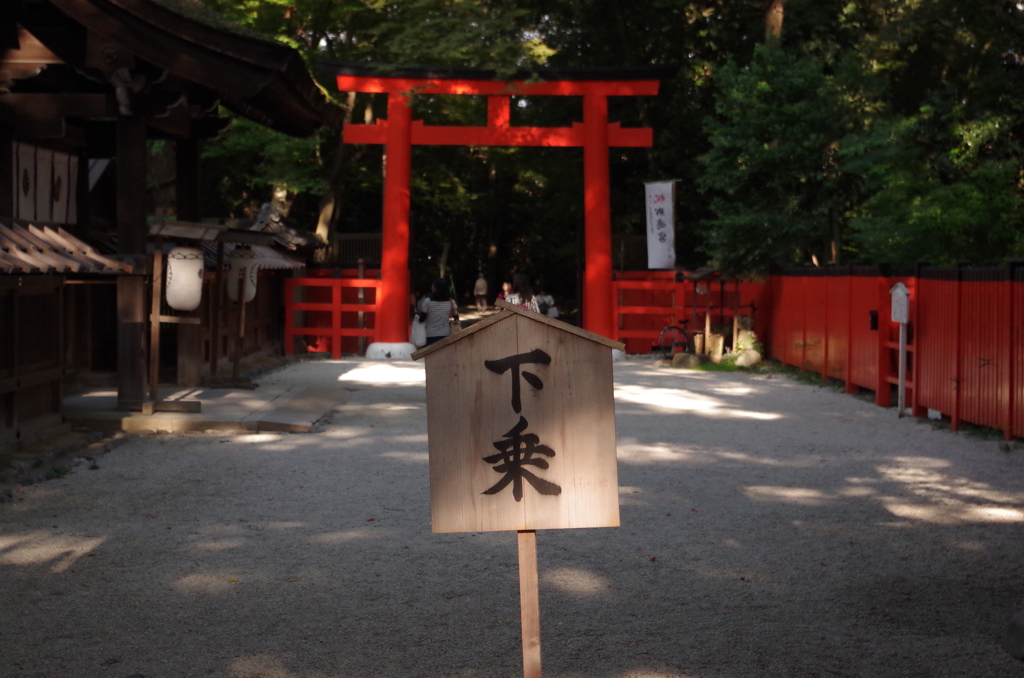 この先歩くべし