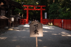 この先歩くべし