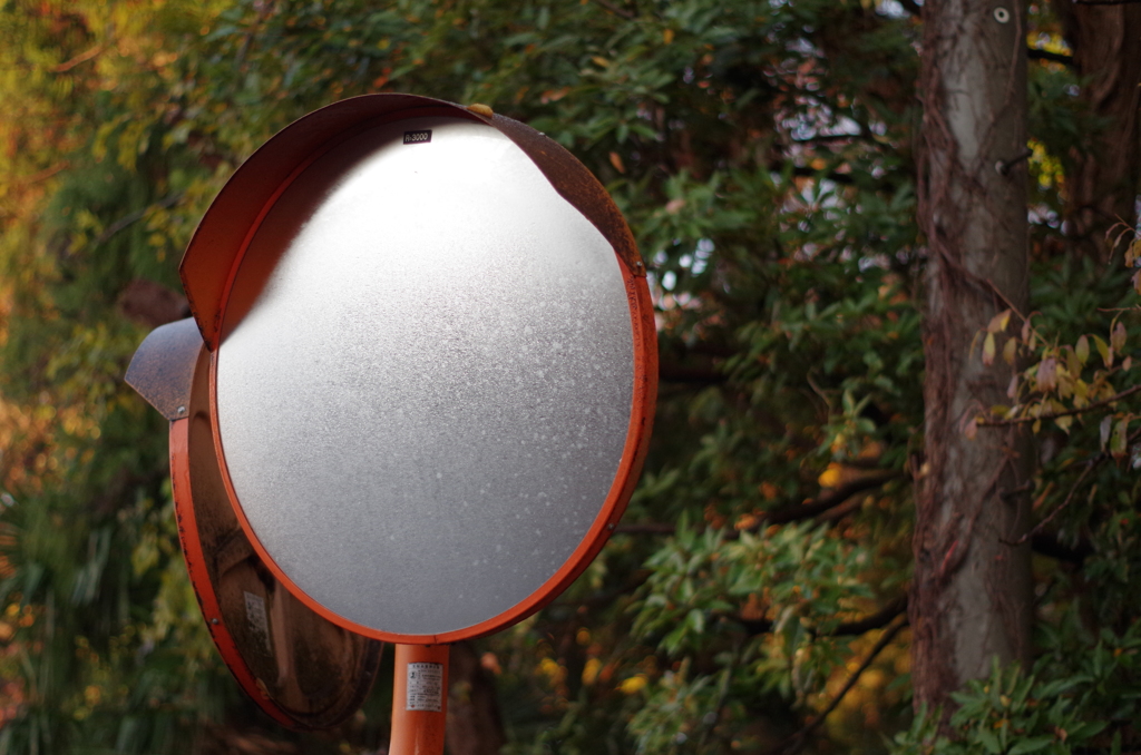 霜に隠された曲がり角