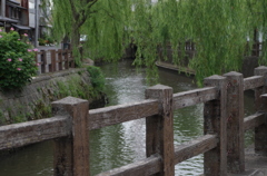 柳と運河