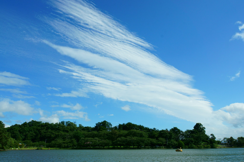 夏空の高松の池