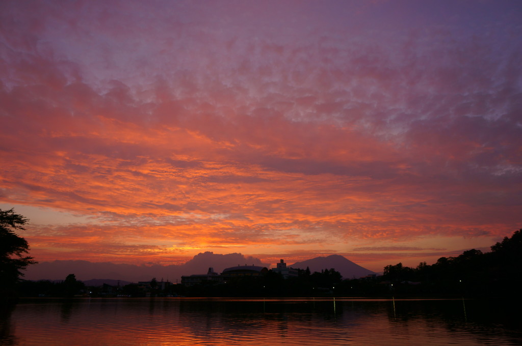 夕暮れどきは至福の時